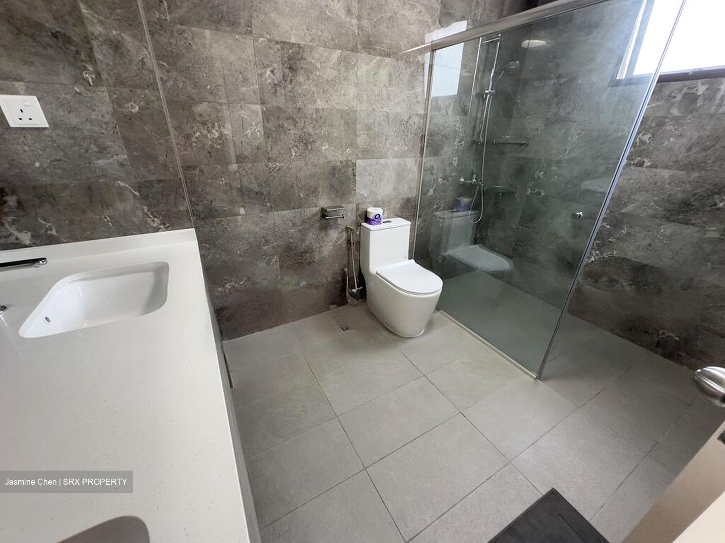 Parc Oasis (D22), Condominium #475592191